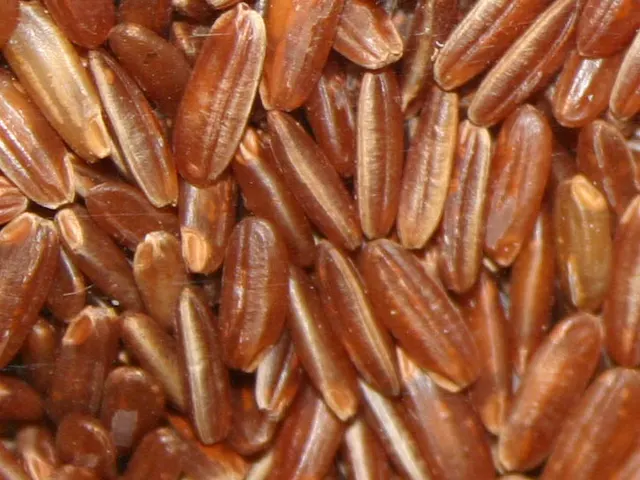 Brown Rice, is it keto?