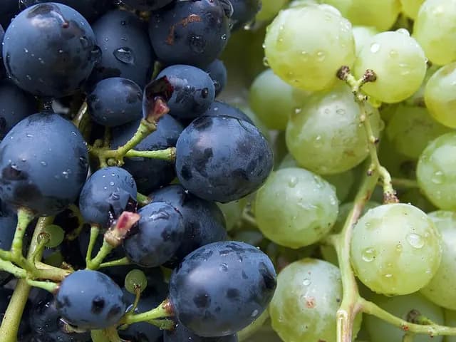 Grapes, is it keto?