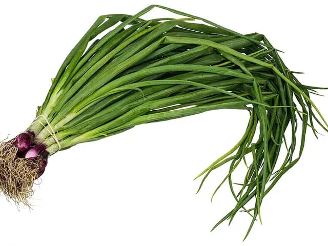 Scallions (Green Onions), is it keto?