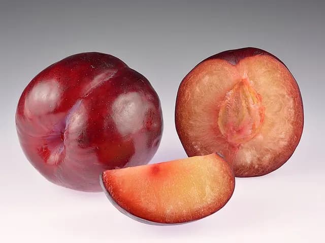Plum, is it keto?