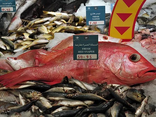 Red Snapper, is it keto?