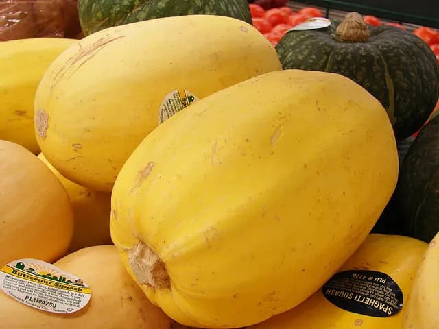 Spaghetti Squash, is it keto?
